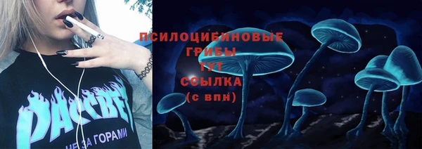 гашик Богородск