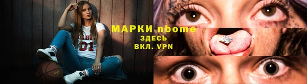 прущие грибы Богородицк