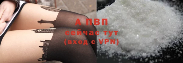 прущие грибы Богородицк