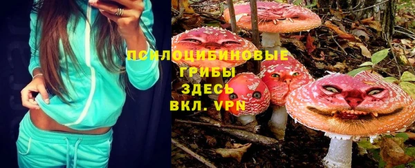гашик Богородск