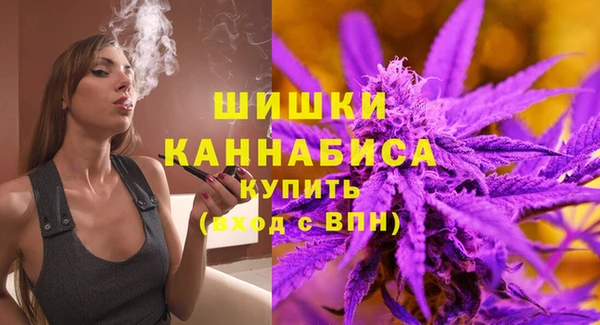 мдпв Богданович