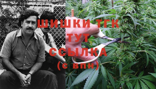 мдпв Богданович