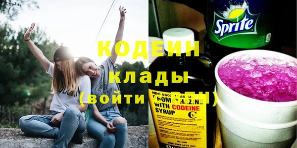 прущие грибы Богородицк