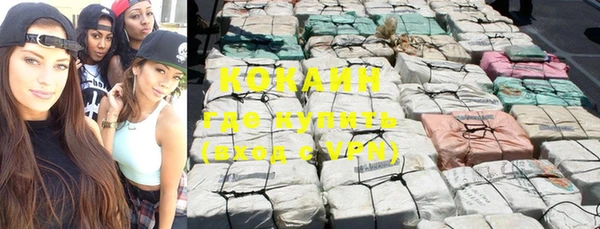 прущие грибы Богородицк
