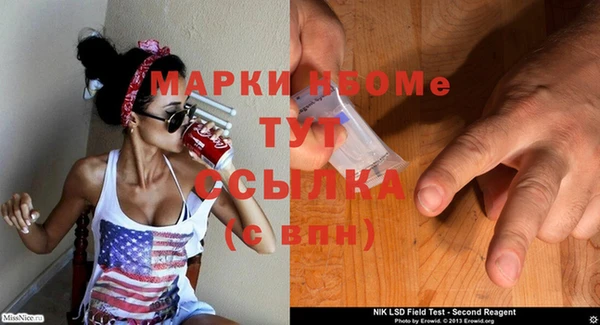 прущие грибы Богородицк