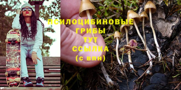 прущие грибы Богородицк