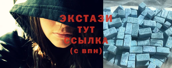 гашик Богородск