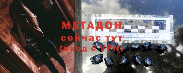 прущие грибы Богородицк