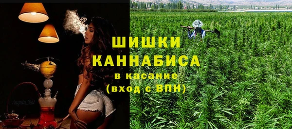 гашик Богородск