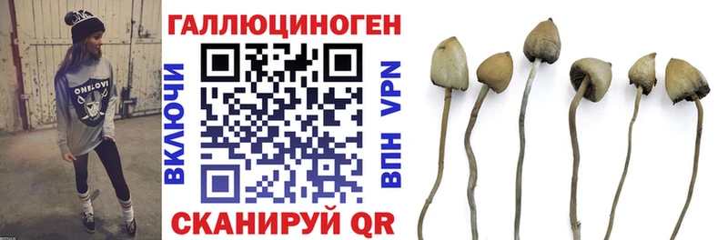 Псилоцибиновые грибы Cubensis  ОМГ ОМГ как зайти  Новоуральск 